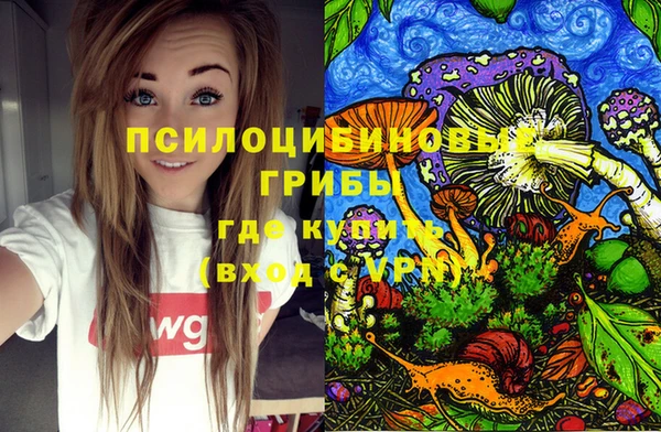 дмт Аркадак