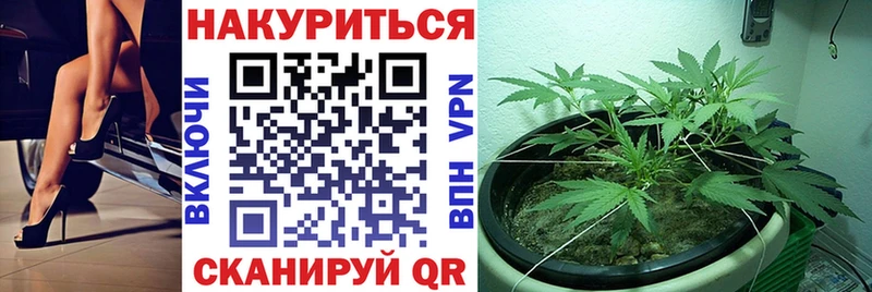 МАРИХУАНА гибрид  Тогучин 